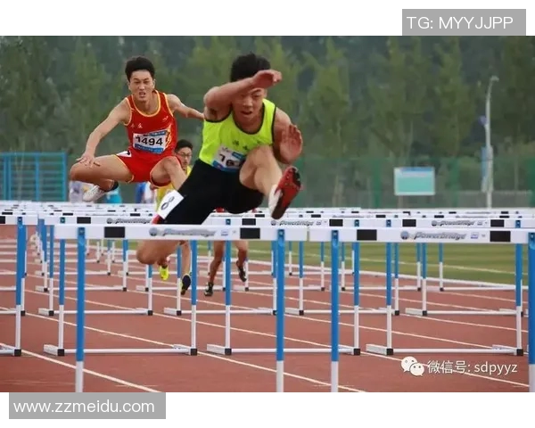 山东体育明星排行榜揭晓谁是最闪耀的运动之星 山东体育明星排行榜揭晓谁是最闪耀的运动之星