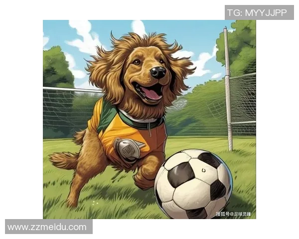 学生头像男足球明星的魅力与梦想在校园中的闪耀与追逐 学生头像男足球明星的魅力与梦想在校园中的闪耀与追逐